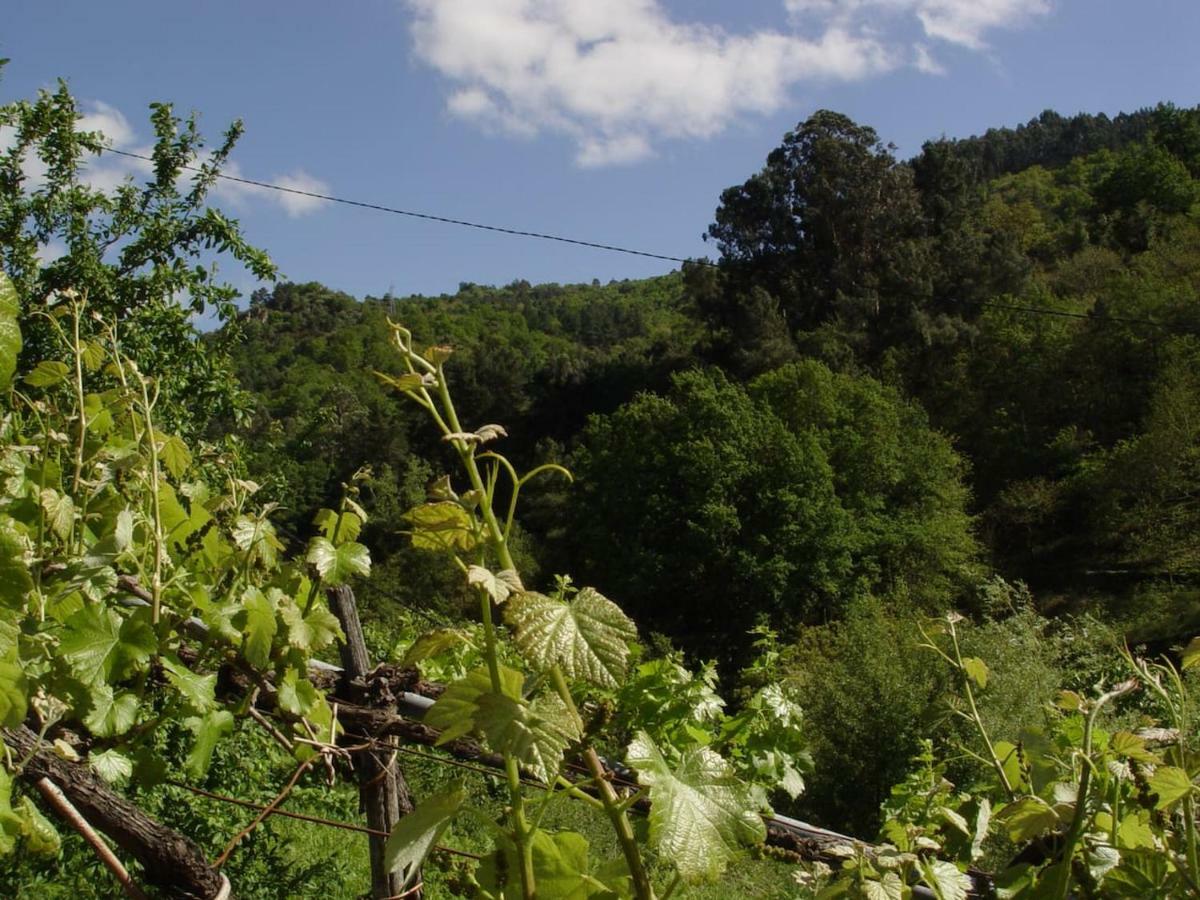 Casa En Vinoas Βίλα Εξωτερικό φωτογραφία